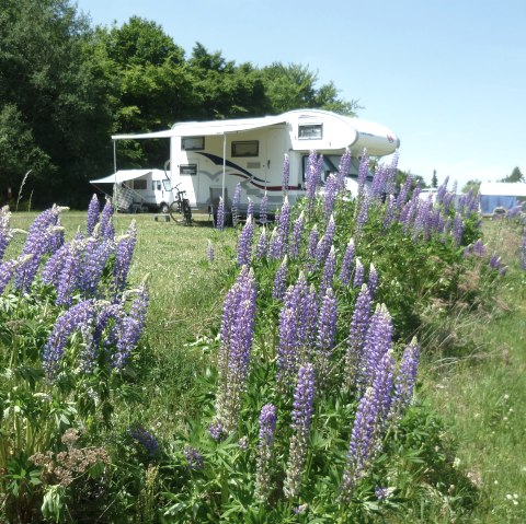 Wohnmobilplatz am Pulvermaar, © Feriendorf Pulvermaar