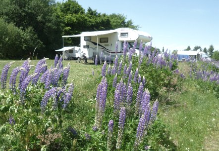 Wohnmobilplatz am Pulvermaar, © Feriendorf Pulvermaar