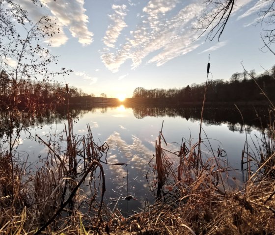 Am Holzmaar, © GesundLand Vulkaneifel GmbH