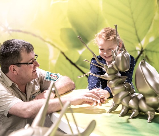 Ausstellung Wildnis(t)räume mit Kindern besuchen, © Nationalpark Eifel, D. Ketz