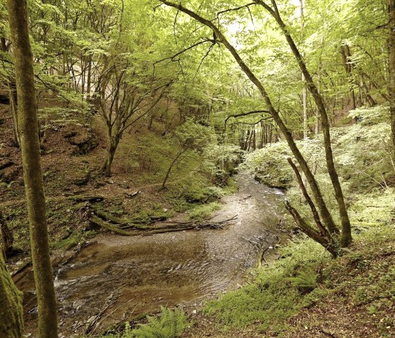 Romantisches Enderttal, © Schieferland Kaisersesch