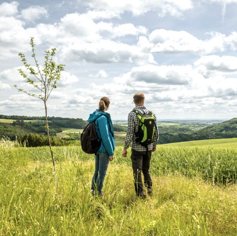 Wandern durch die hügelige Landschaft der Eifel, © Eifel Tourismus GmbH, Dominik Ketz