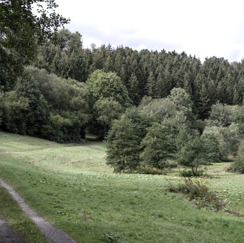 Schafbachtal, Eifelspur Sonne, Mond und Sterne, © Nordeifel Tourismus