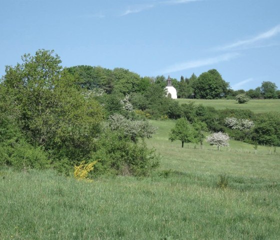 Blick zur Dreifaltigkeit, © Marion Divossen