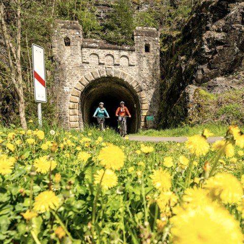 Enz-Radweg, alter Bahntunnel bei  Neuerburg, © Eifel Tourismus GmbH, Dominik Ketz