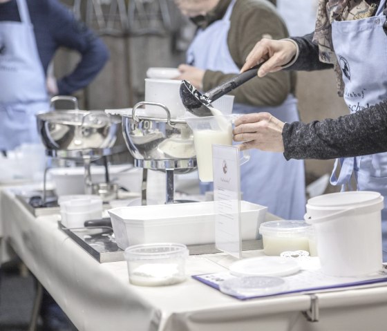 Ausschöpfen der Milch bei der Käseschule