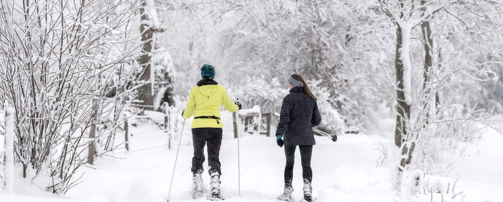 Schneewandern, © Eifel Tourismus GmbH, Dominik Ketz