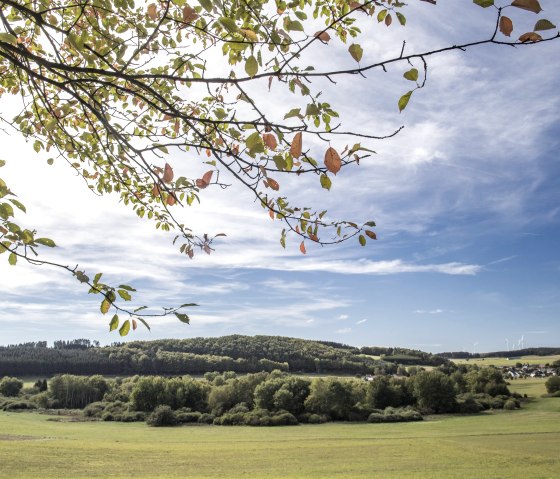 Blick ins Maar, © Natur und Geopark Vulkaneifel