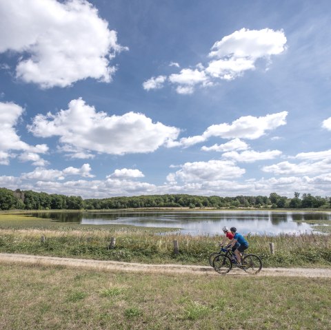 Radeln am Rodder Maar, © Kappest/Vulkanregion Laacher See