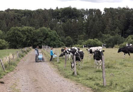 Milchweg Kall, © Eifel Tourismus GmbH, Tobias Vollmer - finanziert durch REACT-EU