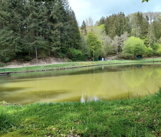 Angelweiher Trittscheid