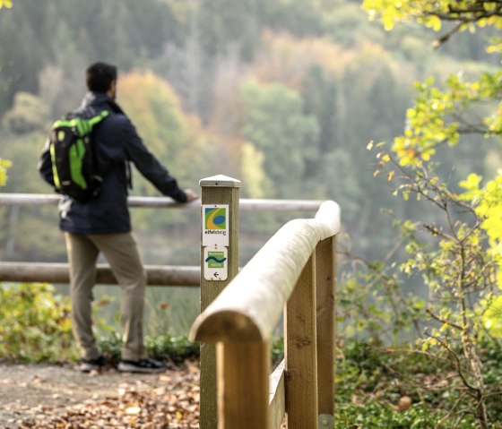 Im Nationalpark Eifel, © Eifel Tourismus GmbH, Dominik Ketz