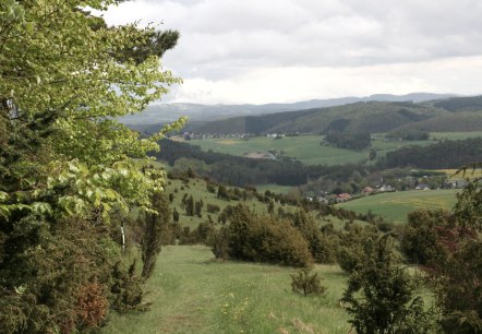 blick-auf-niederehe, © esther-erharter-tourist-information-gerolsteiner-land