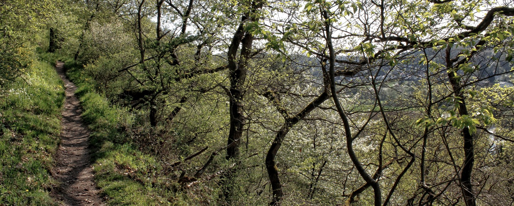 Unterwegs auf naturbelassenen Pfaden