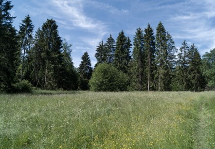 Eifelspur Pingenwanderweg - Durch Kräuterwiesen, © Nordeifel Tourismus GmbH