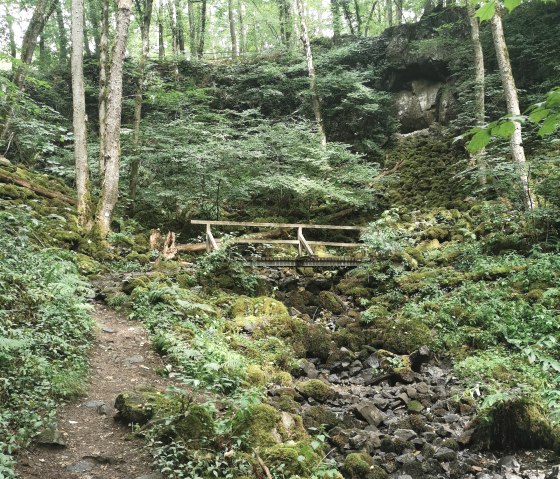 Wolfsschlucht mit Moos im Sommer, © GesundLand Vulkaneifel GmbH