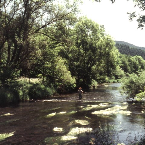 Angeln an der Kyll, © Touristik GmbH Geroslteiner Land