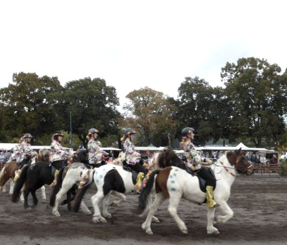 Paardenmarkt, © Marktamt Stadt Mayen