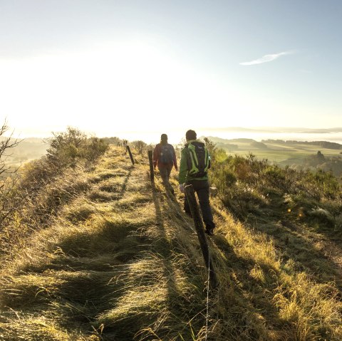 Naturerlebnis Eifel, Wandern in der Morgensonne, © Eifel Tourismus GmbH, D. Ketz