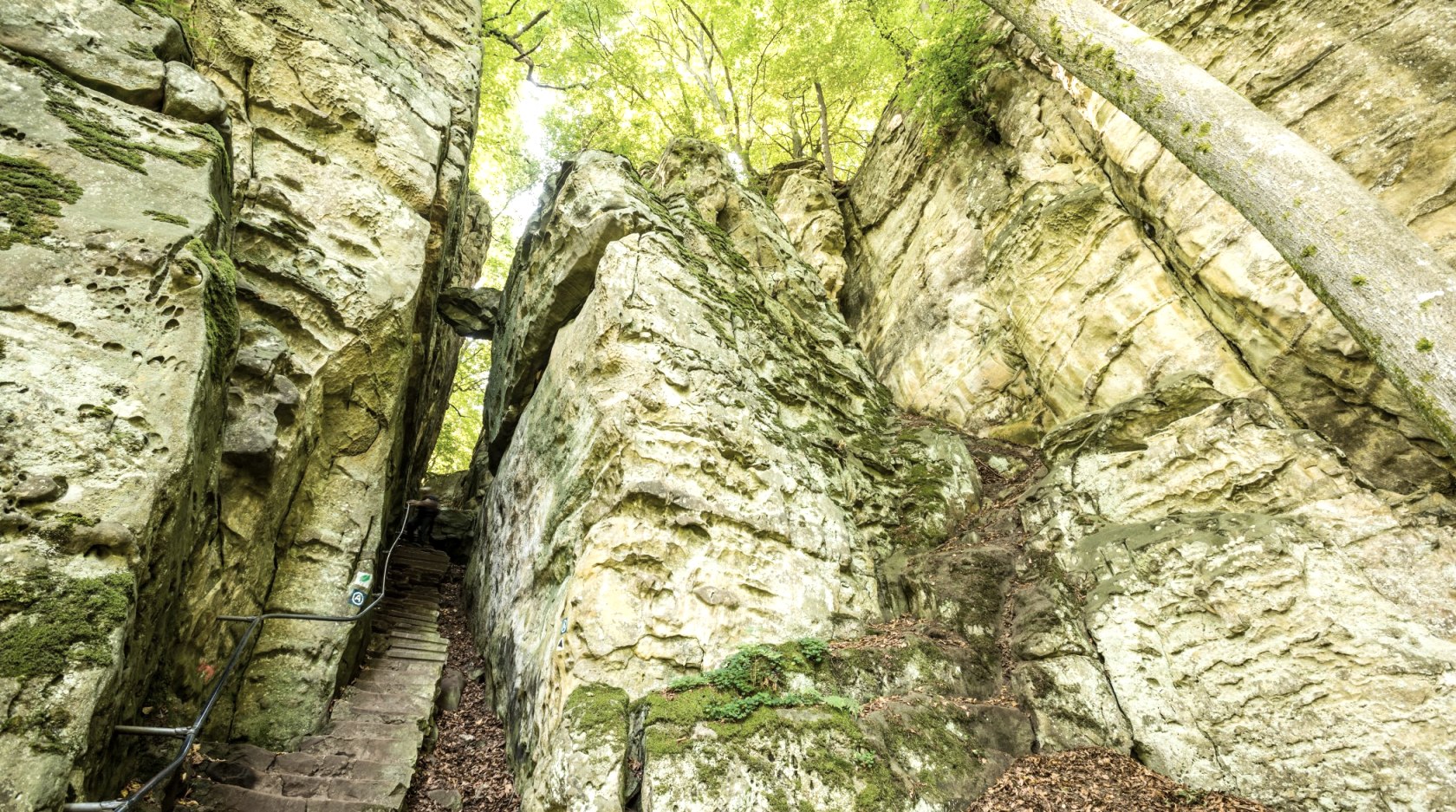 Natur Eifel: Teufelsschlucht im Naturpark Südeifel, © Rheinland-Pfalz Tourismus GmbH/D. Ketz