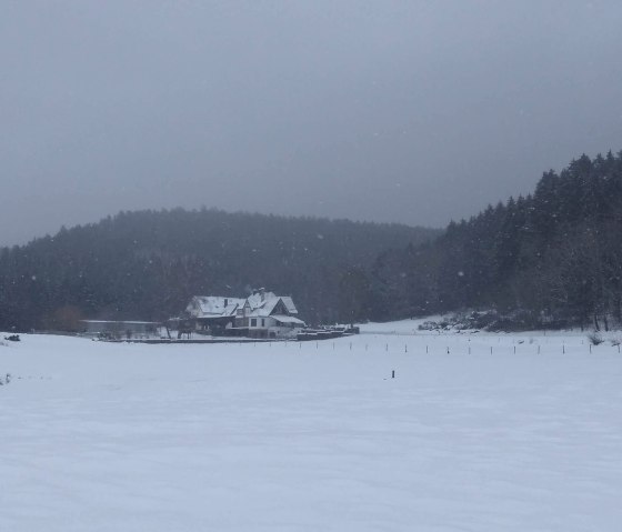 Winter Ansicht Hof Grindelborn