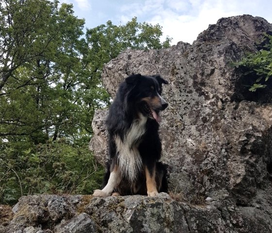 Werthelstein mit Hund, © Tourist Information Wittlich Stadt & Land