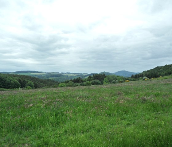 blick_auf_aremberg, © Gerd Spitzlay