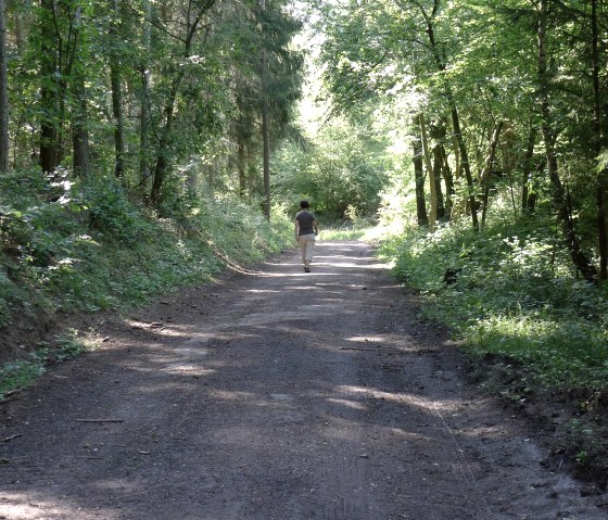 Wanderweg 1, © Dietmar Frank & Nordeifel Tourismus GmbH