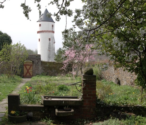 Blick auf die Laufenburg (Eulenturm)