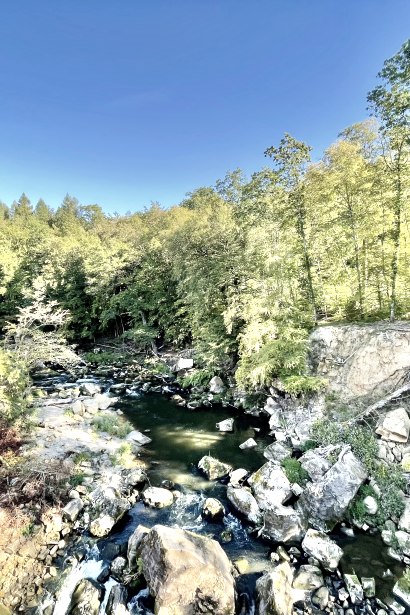 Blick von der Hängebrücke auf die Stromschnellen der Prüm, © Naturpark Südeifel, Ansgar Dondelinger