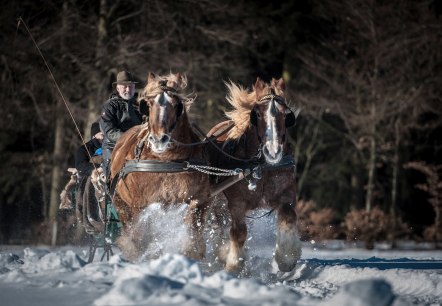 Bauershof, © Akim-Tierfotografie