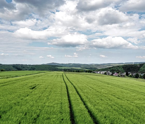 Weitblicke über Felder, © Eifel Tourismus GmbH, Dominik Ketz