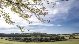 Blick ins Maar, © Natur und Geopark Vulkaneifel