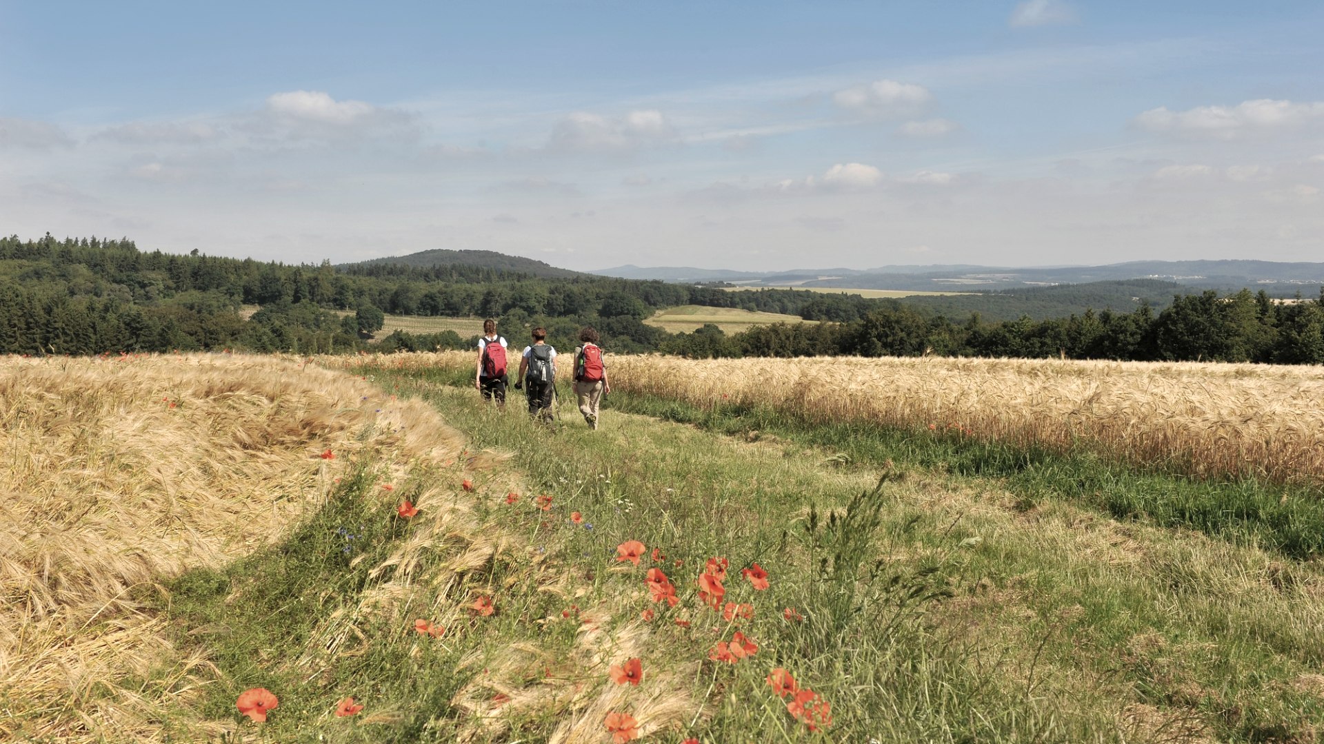 Wanderung Steinbach Rundweg Masburg, © Christoph Gerhartz