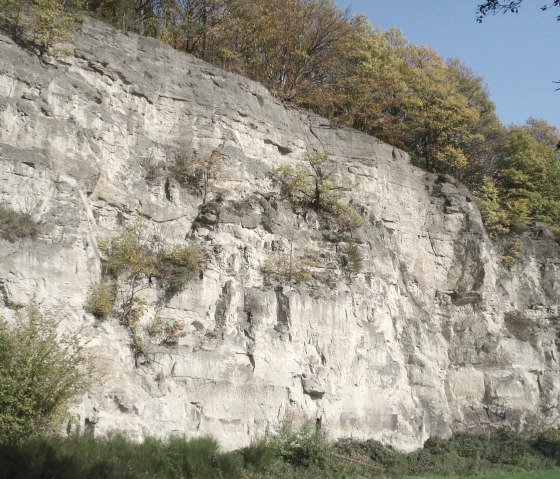 Tuffsteinwand in Rieden, © VG Mendig/Neideck