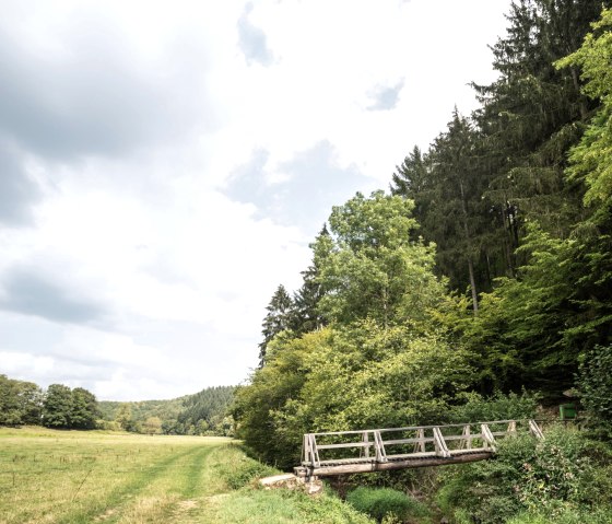 Lieserpfad in der Nähe der Üdersdorfer Mühle, © Dominik Ketz