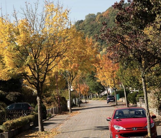 Herbst2, © Michelsfotography