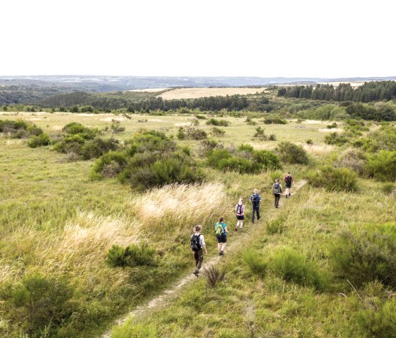 Dreiborn plateau, © Nationalpark Eifel - Dominik Ketz