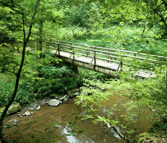 Brücke am Lieserpfad, © GesundLand Vulkaneifel / D. Ketz