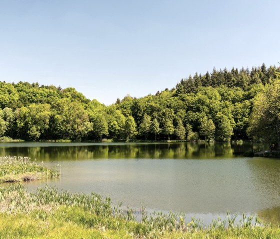 Blick auf das Holzmaar, © GesundLand Vulkaneifel/D. Ketz