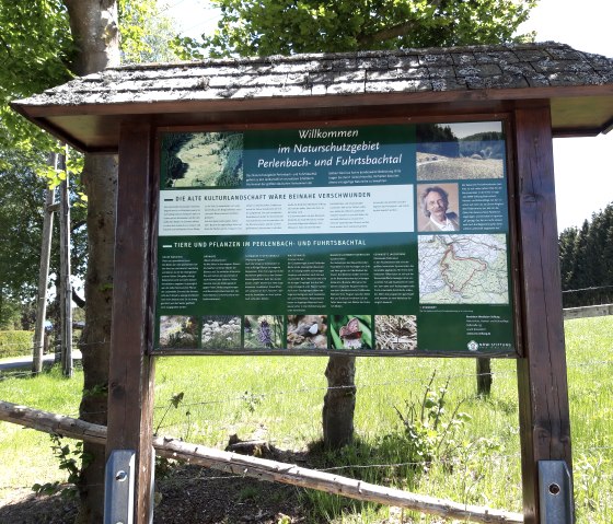 Infotafel zu den Narzissen, © Monschau-Touristik GmbH, Barbara Frohnhoff