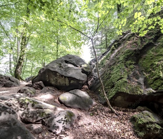 Wanderung am Lieserpfad, © Creative Commons