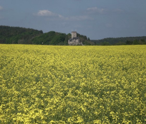 Burg Kerpen, © Ferienhof an der Lay-Elisabeth Schröder