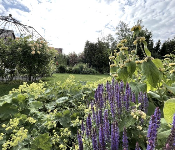 Blick in den Garten, © Kathrin van Gumpel