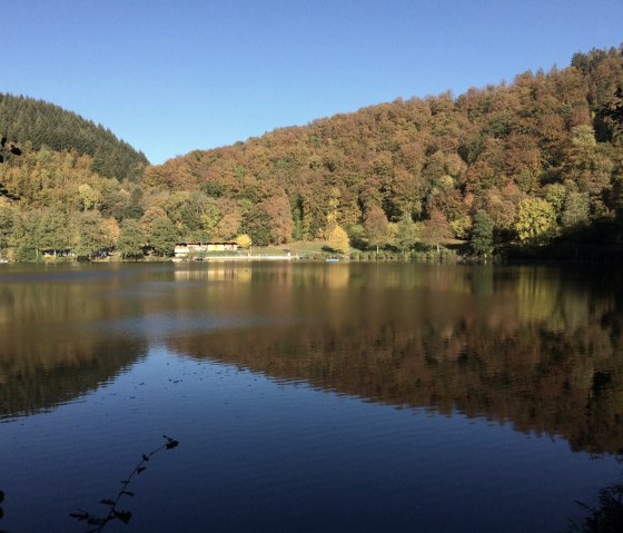 Blick auf das Gemündener Maar, © GesundLand Vulkaneifel