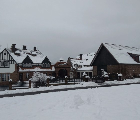 Winter Hof Grindelborn Frontansicht