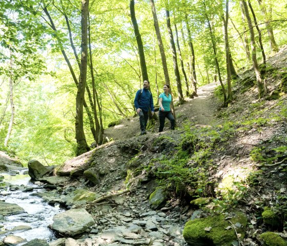 Heimatspur Wasserfall-Erlebnisroute, © Eifel Tourismus GmbH, AR-shapefruit AG