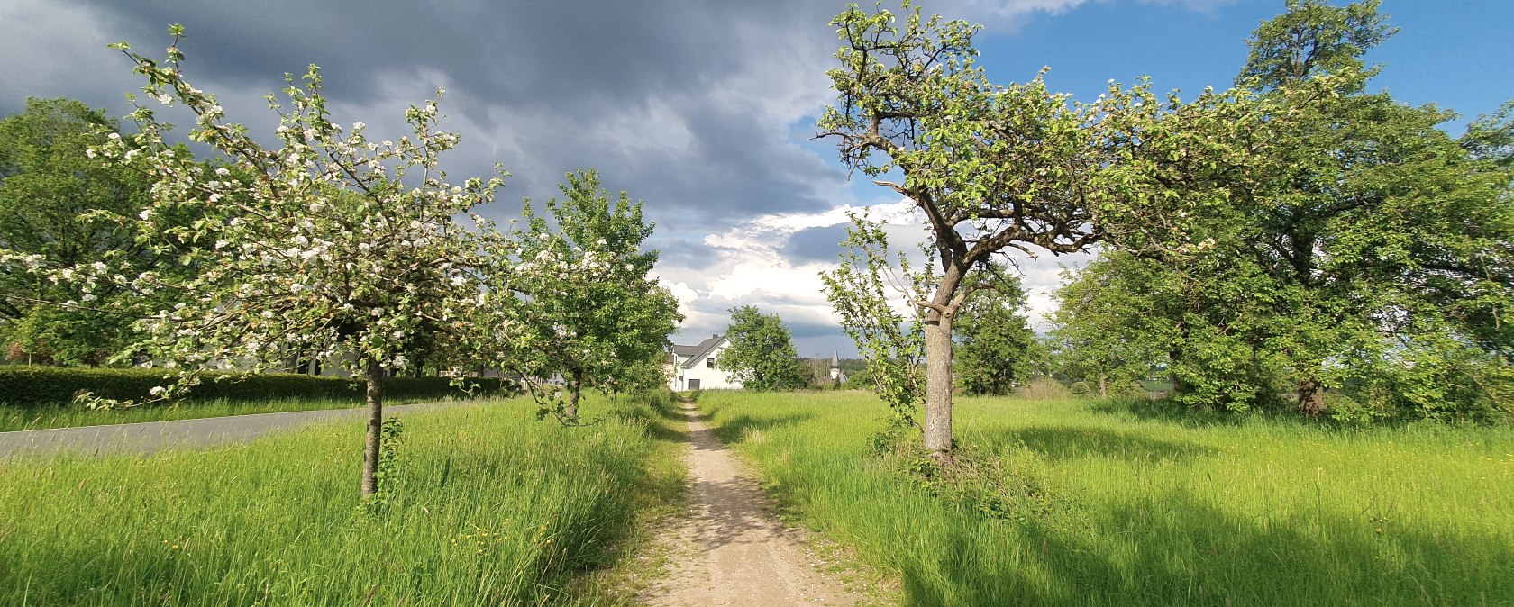 Komfortwanderweg Zemmer 4, © RLP