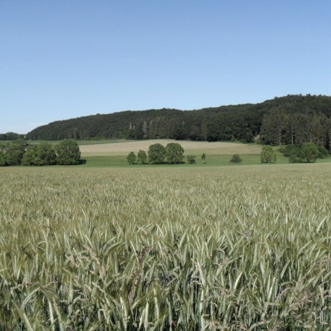 Wandern rund um Rommersheim, © Tourist-Information Prümer Land