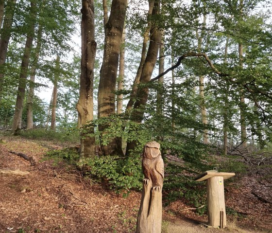 La forêt des contes de fées - Là où tout a commencé